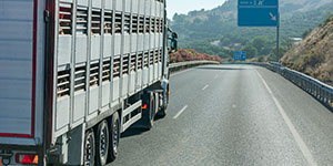 CDL Truck Driving Jobs for Ganado